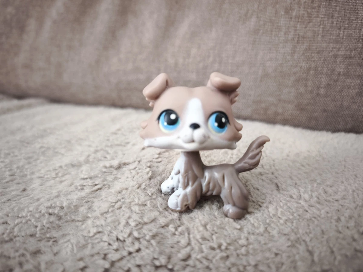 LPS Littlest petshop pet shop chien chat européen dogue colley cat dog rare | UK