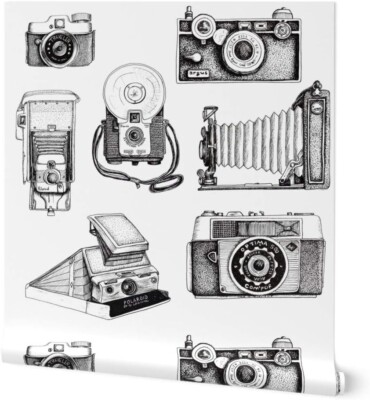 Spoonflower Vintage Camera Collection Wallpaper 2' x 12' Peel and Stick 5016716