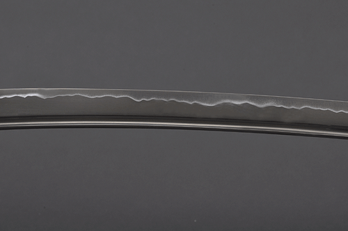 1045 Carbon Steel Katana | Fūrin Kazan Tsuba | Clay-Tempered Samurai Sword - Picture 19 of 20