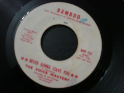 THE VOICE MASTERS NEVER GONNA LOVE YOU 45 RECORD IF A WOMAN