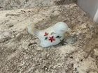 Vintage Fenton Hand Painted Iridescent Bird Figurine with red flowers signed