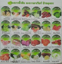 Piante Finger Lime (Limone Caviale)