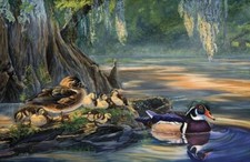 Ceramic Backsplash Tile Mural Waterfowl Bird Kitchen/Bathroom - Hidden Cove