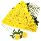 Foto 2 di 7