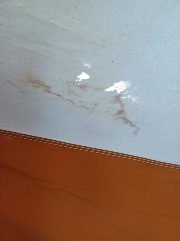 RARO Vintage Coleman Classic 11' X 10' Barraca Springbar #8481B840- SUPER BOM! - Imagem 2 de 4