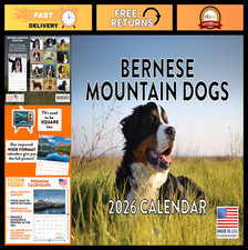 2026 Bernese Mountain Dog Wall Calendar - 12 Month Monthly Planner, USA Made