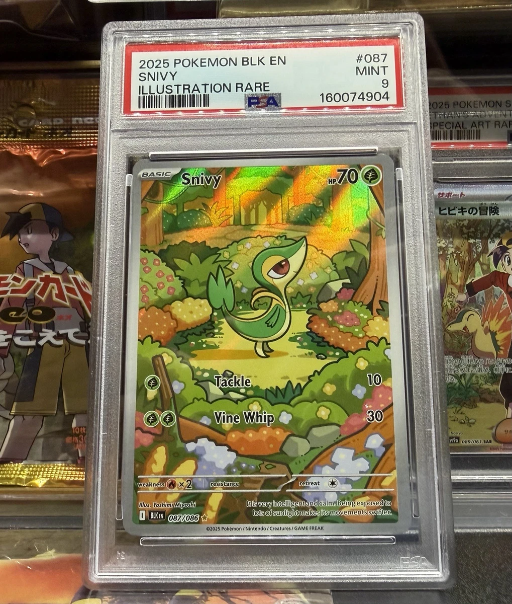 Preços baixos em Cartões TCG de Pokémon Snivy | eBay