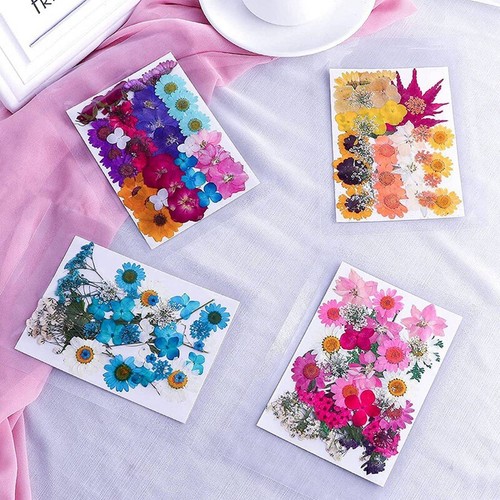 144PCS Natural Dried Pressed Flowers for Resin,Dry Flower Bulk Natural Herbs Kit - Afbeelding 5 van 6