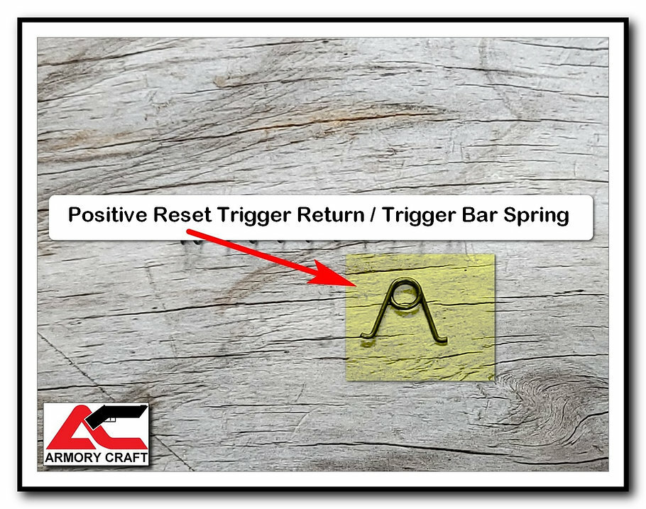ARMORY CRAFT Sig P365, P365XL, P365X, X-Macro Ultimate Master Spring ...
