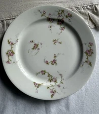 Antique Limoges, M Redon /PL Limoges France Fine Porcelain SALAD PLATE, 1900