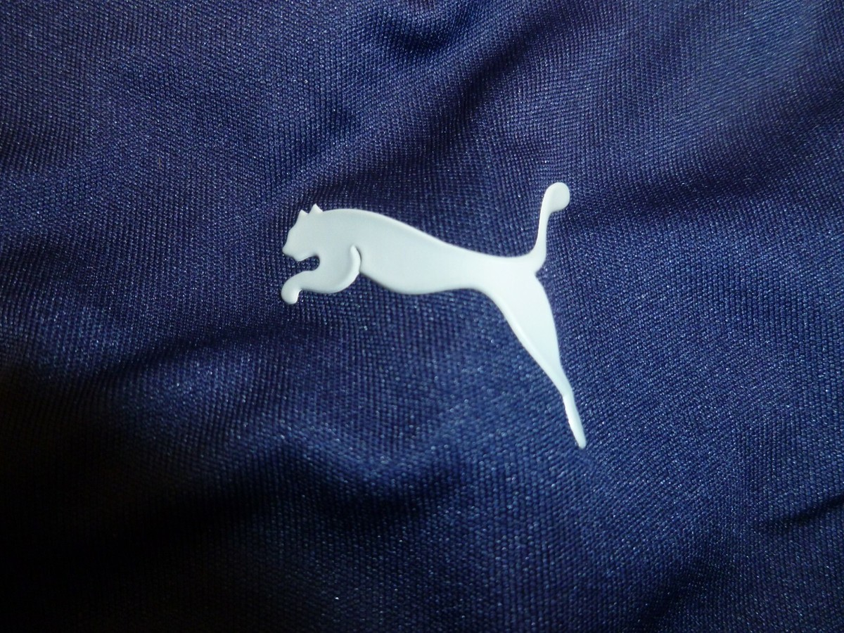 puma icon 1 4 zip