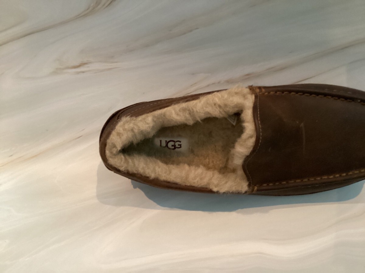 UGG ??Ascot Brown Slippers sz 8 Brand New UGG Men main image 4