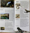 NEVADA/Death Valley area ASH MEADOWS Brochure 22 pages National Wildlife Refuge — photo 3
