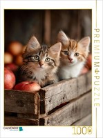 Calvendo Puzzle Kittens On The Farm | 1000 Pieces, Finished Size 25.2 × 18.9 In