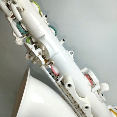 Vibrato Sax A1S Series 3 Plastic Alto Saxophone 8180-3170-1 | eBay