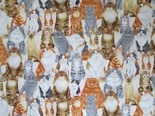 CATS REALISTIC KITTY CAT ASSORTED COTTON FABRIC FQ
