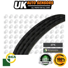 Fits Vitara Sportage 323 MX-5 Tucson 3 Series Z3 Alternator Belt BGA 053903137A