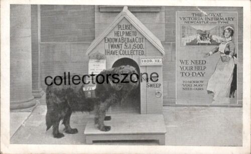 1913 Royal Victoria Hospital Newcastle Upon Tyne Fundraising Dog Print Postcar - Afbeelding 1 van 2