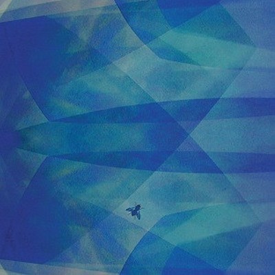 Baptista, Cyro - Bluefly (CD) - WORLD *NEW*