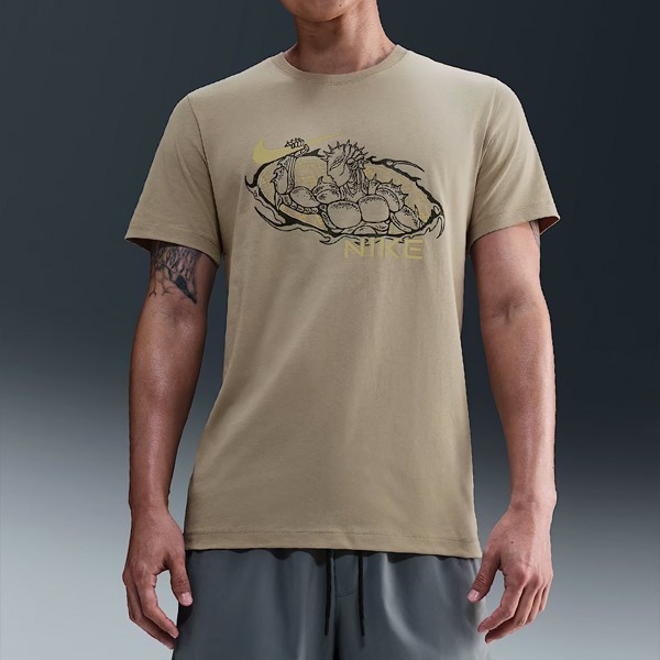 Nike Dri-Fit AsiaFit HV4144-253 8790₽
