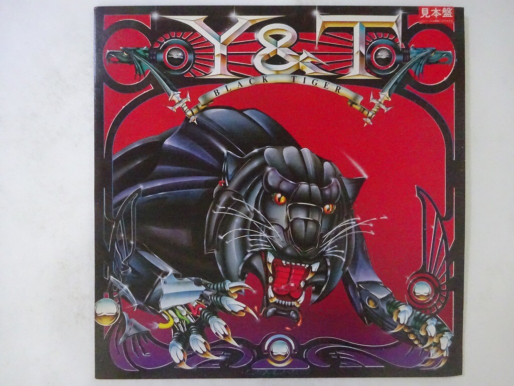 邦楽 AAA Y & T Black Tiger A&M AMP-28055 Japan promo VINYL LP | eBay