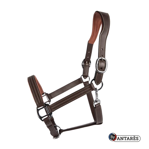 Signature by Antares Leather halter size 2