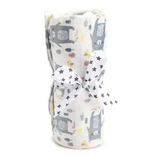 Boritar Baby Blanket/Crib Quilt Soft Minky Double Layer Dotted Backing 30"x40"