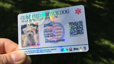 HOLOGRAPHIC SERVICE DOG ID CARD FOR SERVICE MEDICAL EMOTIONAL PTSD ANIMAL |  eBay