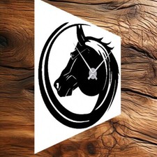 Orologio da parete su disco in vinile Amante dei cavalli, Testa di CAVALLO 