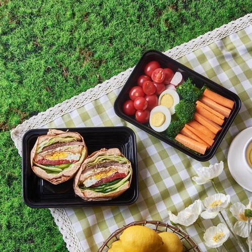 16 oz BPA-Free Take Out Plastic Bento Food Storage Containers w/ Lids Meal Prep - Picture 8 of 8