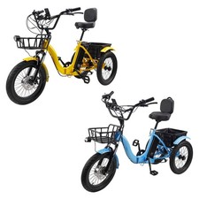 18" 48V 13AH 350W peak 525W Electric Trike Variable speed with IPX7 Display