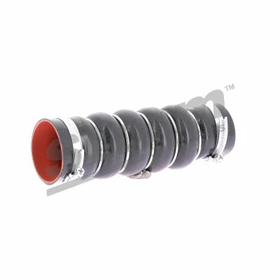 Gaine de suralimentation pour réparation circuit d'air Grand C-MAX et Focus III