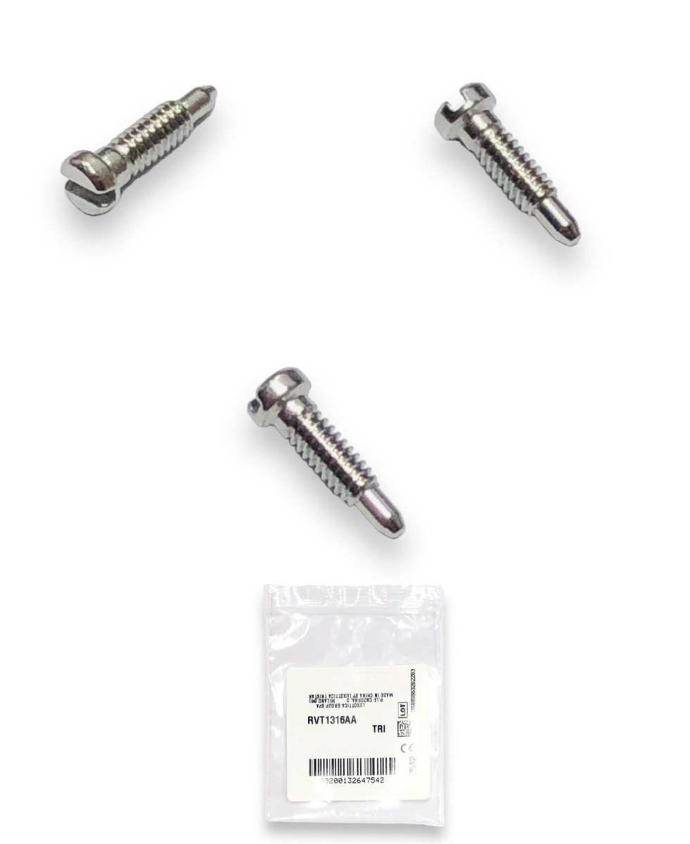 Ray Ban RB2184 Sunglasses Silver Replacement Temple Hinge Screw Genuine