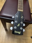 An Aquatic /electric 6 Strings Guitar This Is An Ibanszgyitar — photo 3