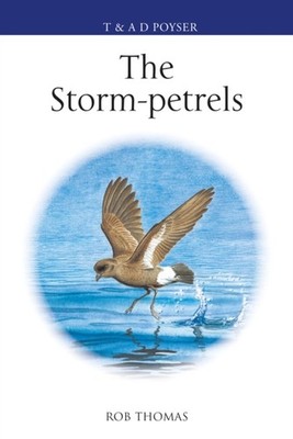 The Storm-petrels by Rob Thomas (Hardback Book)