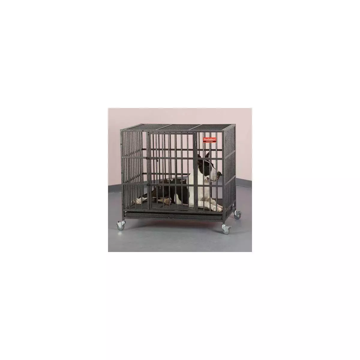 ProSelect Empire Pet Cage