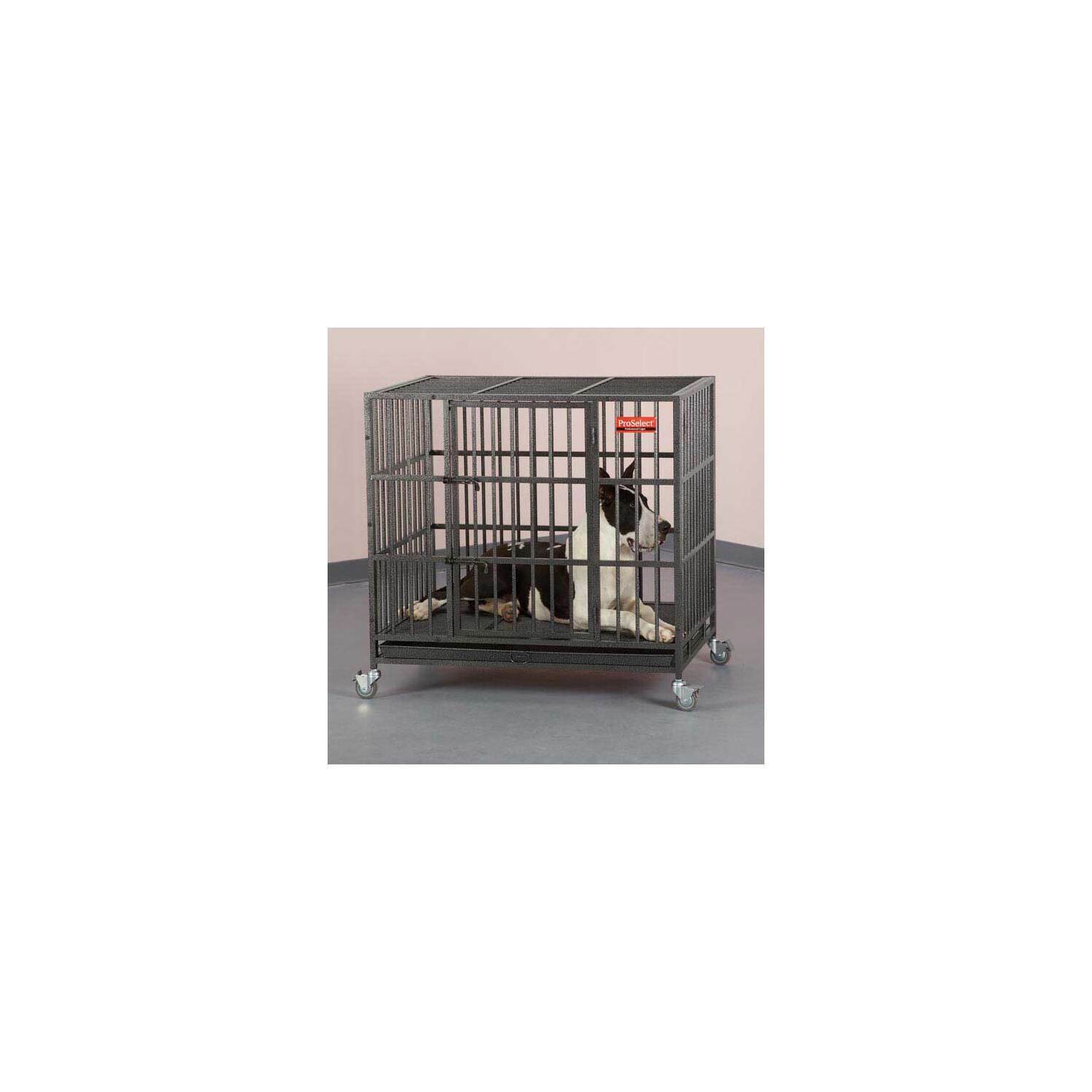 Empire Pet Crate