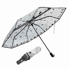 clear small 38.58 Inches, Transparent With Black Trim And Cat Pattern