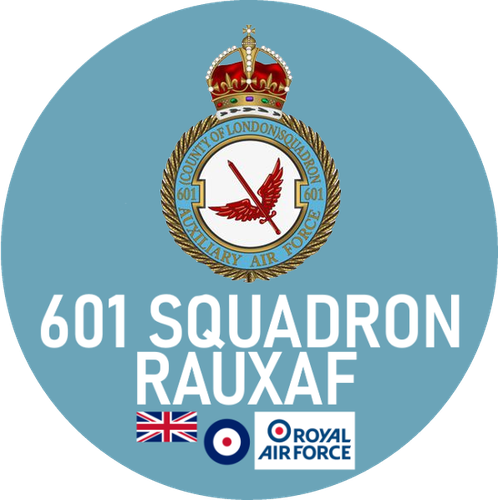 RAF PIN BADGE choose your squad * FROM RAF NORTHOLT + RAF ODIHAM + RAF SHAWBURY - Picture 13 of 25