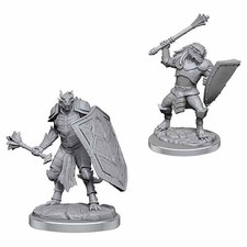 WZK90522 Dungeons  Dragons Unpainted Miniatures: W18 Dragonborn Clerics