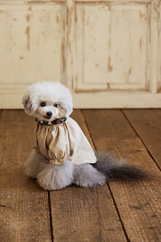 Cute dog clothes for small dogs Handmade Craft Book Japan - Picture 4 of 12