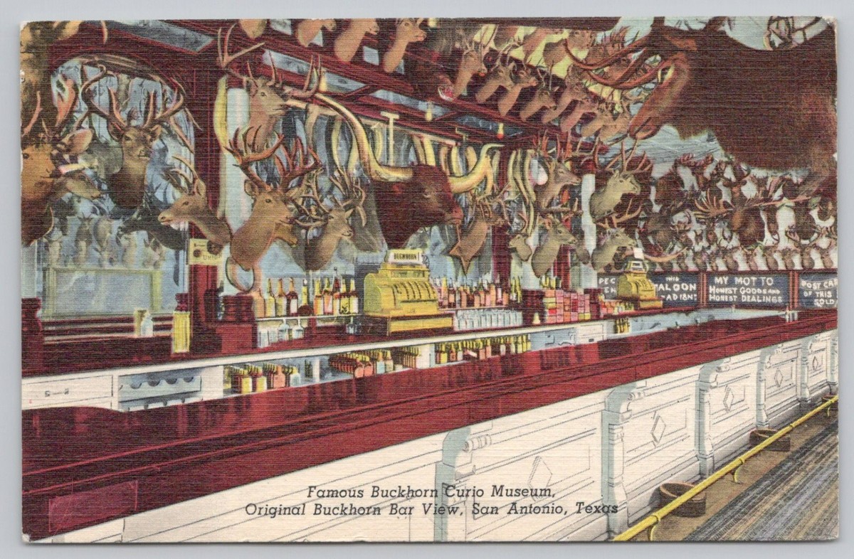 Postcard Famous Buckhorn Curio Museum Bar San Antonio Texas | eBay