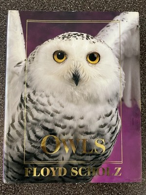 Owls: An Artist's Guide to Understanding Owls by Floyd Scholz 2001 Hardcover