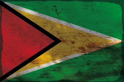 Blechschild 18x12 Guyana Flag of Guyana Rost Wand Deko Bar Kneipe Sammler Gesche