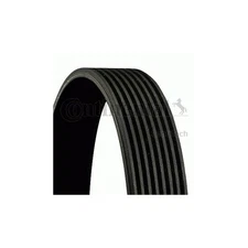 Contitech 8 PK 1393 V-Ribbed Belts 8PK1395