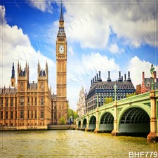 Cityscape10'x10' Indoor Computer-painted Scenic Photo Background Backdrop BHF779