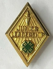 Ford Motor Company Fund Junior leadership Pin Badge 20 x 14 mm 