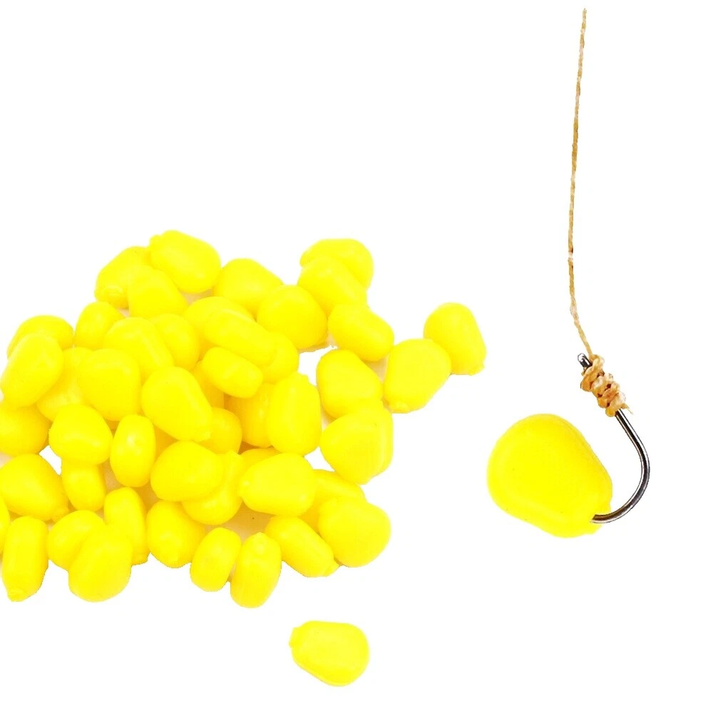 Carp Freshwater Fishing Tackle Craft