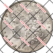 1878 Morgan Silver Dollar