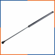 Verin de hayon / de capot Citroen GS